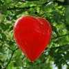 Sticna 2008_031